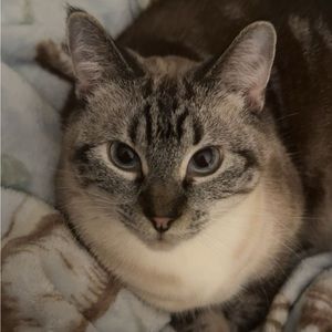 Meet your Posher, Emma